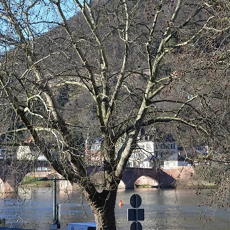 Neckarblick - Altstadt 海德堡