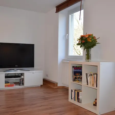 Апартаменты Neckarblick - Altstadt Хайдельберг