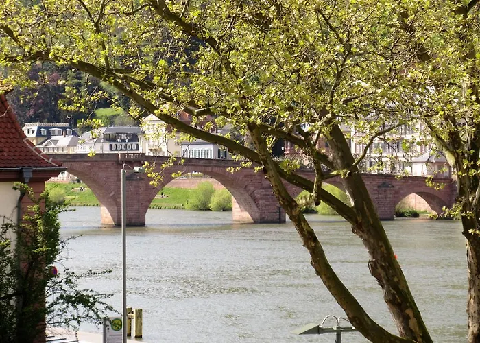 Neckarblick - Altstadt 아파트 하이델베르크